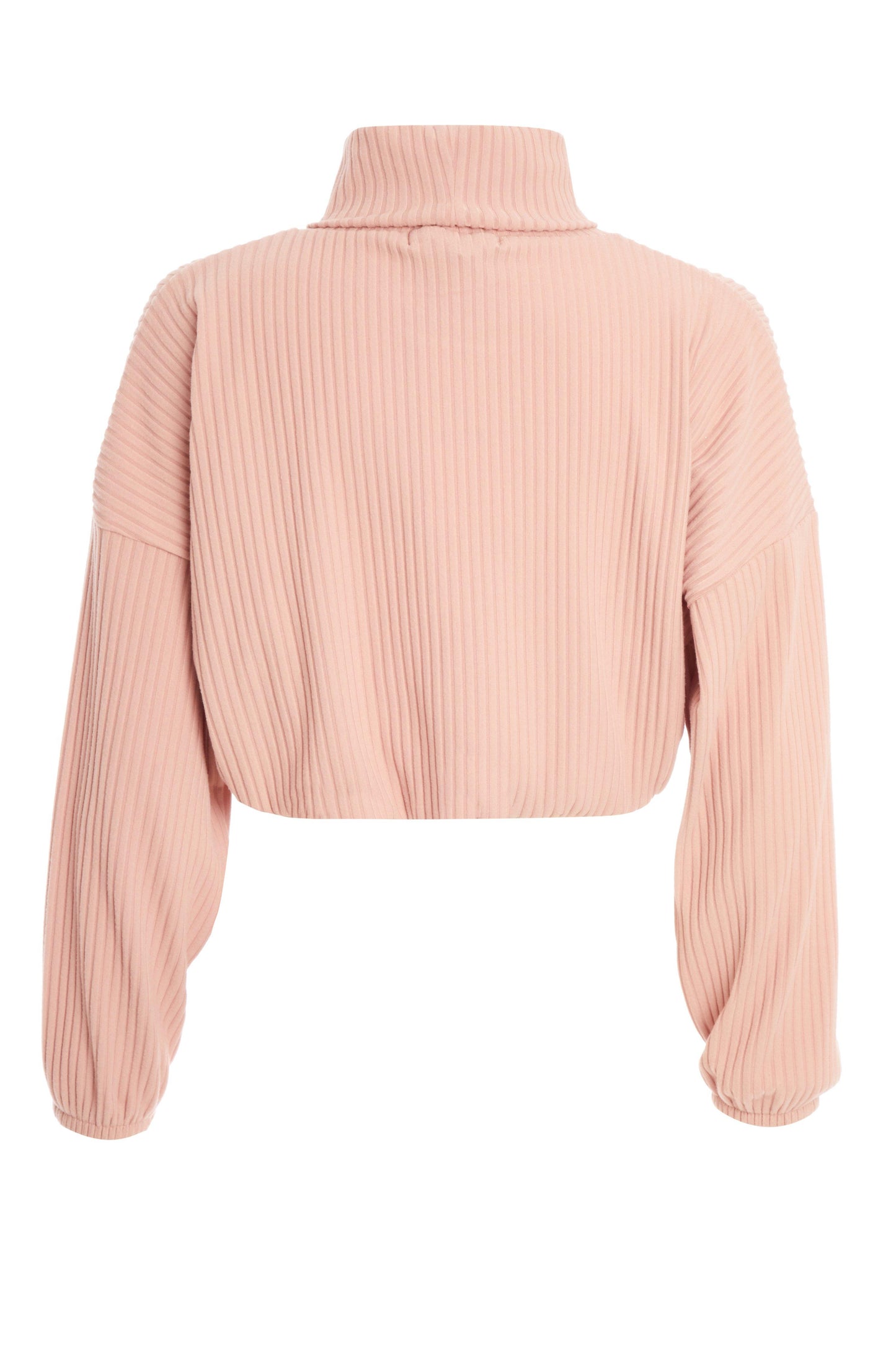 Petite Pink Ribbed Crop Top — Large